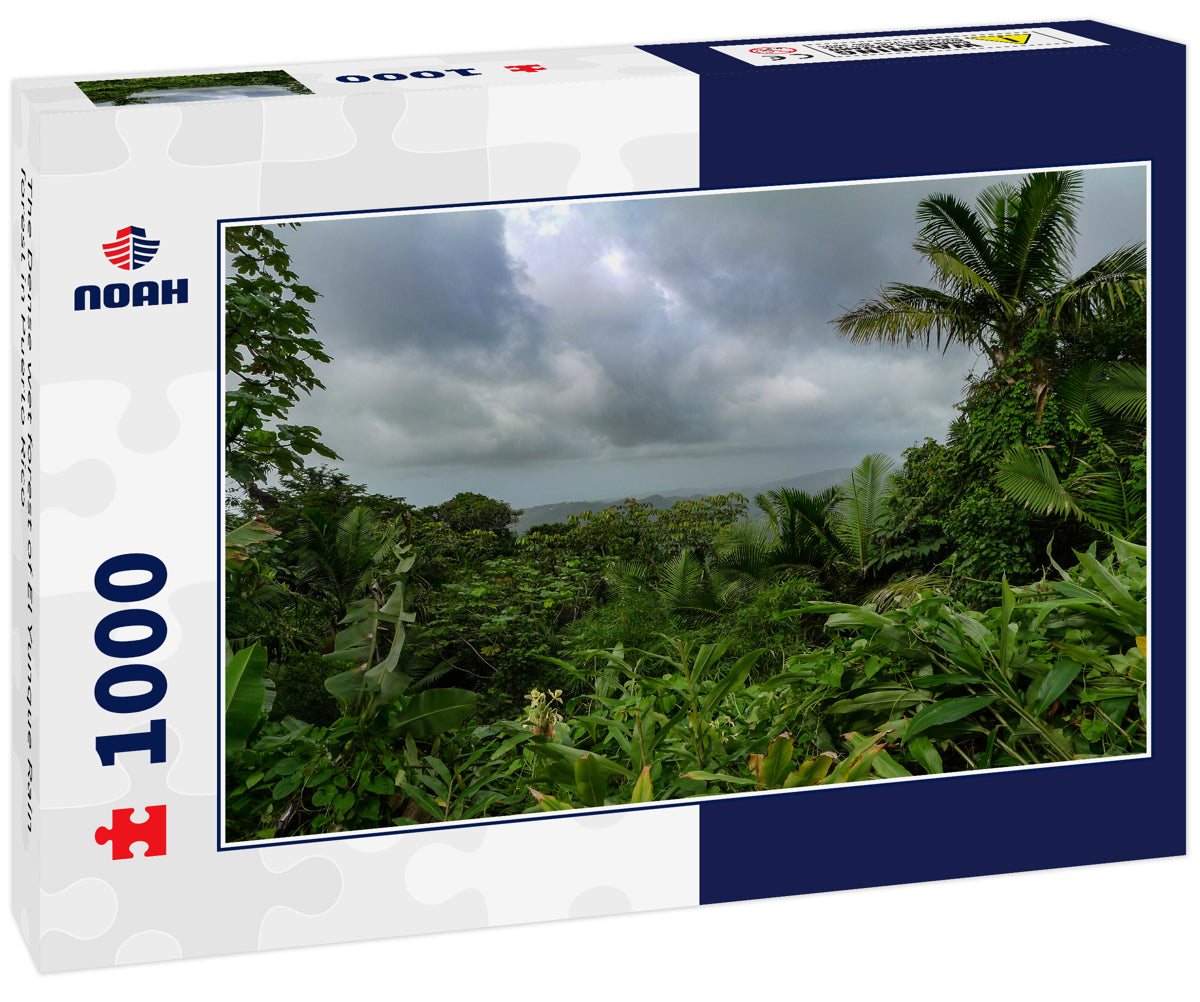 The Dense wet forest of El Yunque Rain forest in Puerto Rico