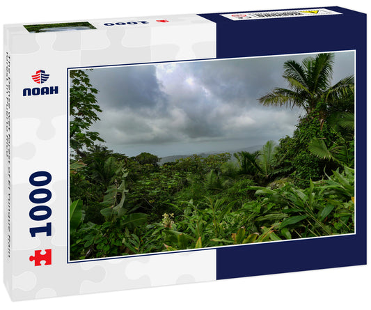 The Dense wet forest of El Yunque Rain forest in Puerto Rico