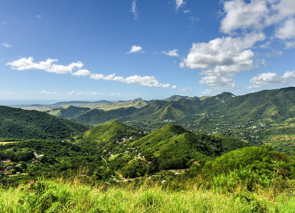 Salinas Landscape, Puerto Rico