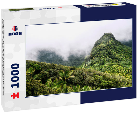 View from El Yunque Peak in El Yunque National Forest in Puerto Rico