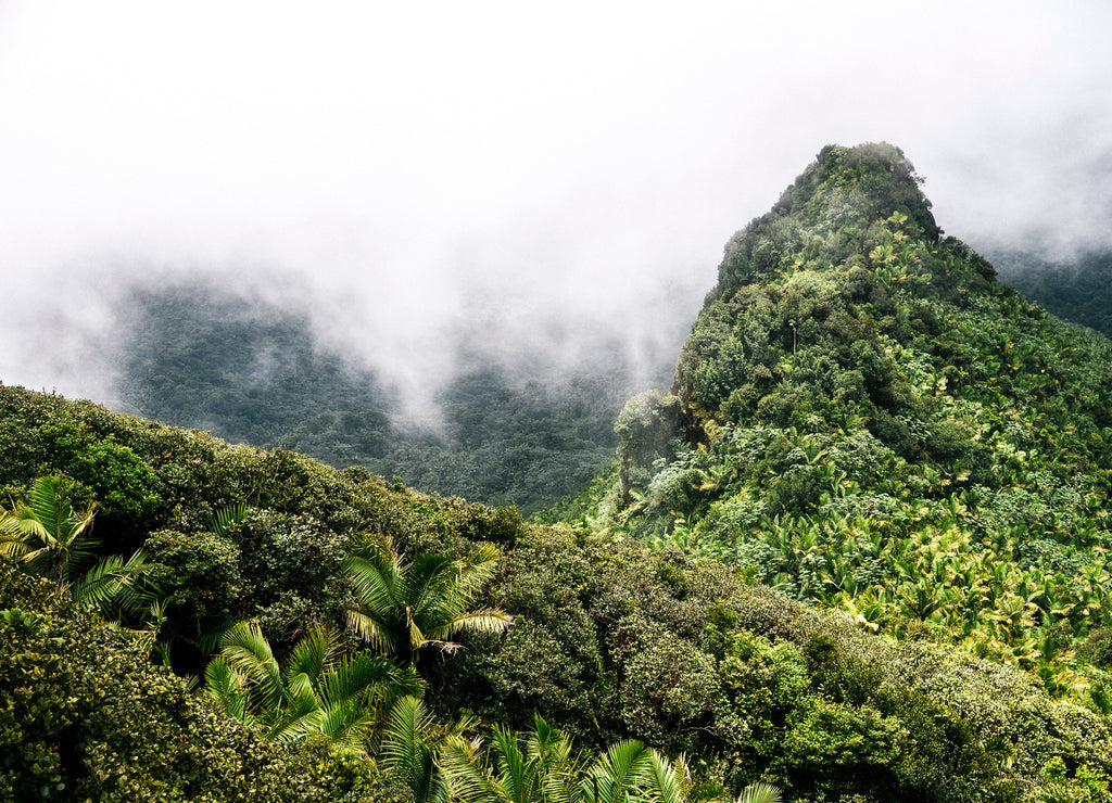 View from El Yunque Peak in El Yunque National Forest in Puerto Rico
