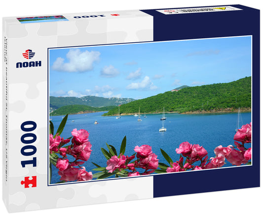 View at beautiful St. Thomas, US Virgin Islands