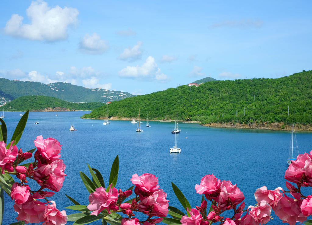 View at beautiful St. Thomas, US Virgin Islands