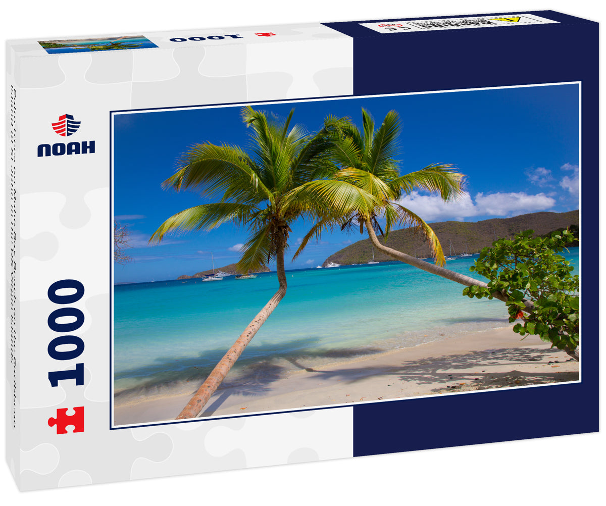 Palm trees on Maho Bay Beach on the Caribbean Island of St John in the US Virgin Islands