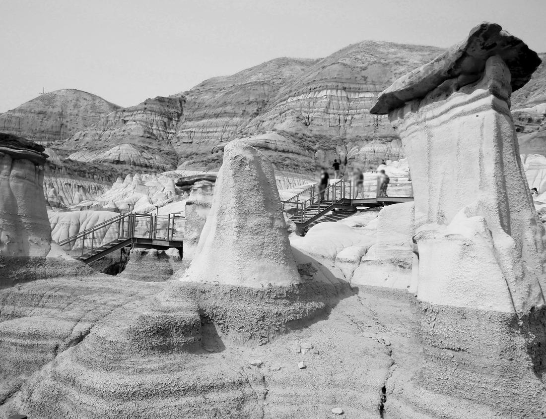 Noah Jigsaw Puzzle Cormorant fisherman and his bird on the Li River in Yangshuo, Guangxi, China in black white 1000 pieces