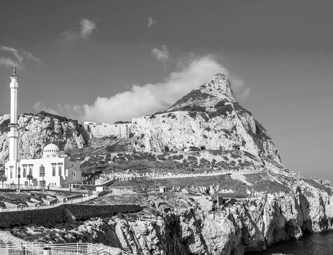 Noah Jigsaw Puzzle Kyoto, Japan cityscape at Kyoto Tower in black white 1000 pieces