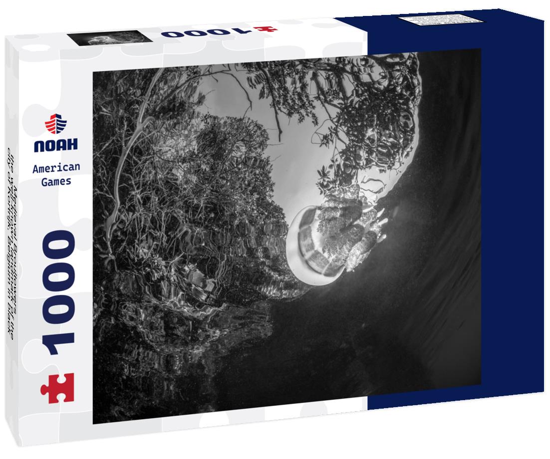 Noah Jigsaw Puzzle Medieval Broultowers - the well-known landmark of the city of Kortrijk, Belgium in black white 1000 pieces