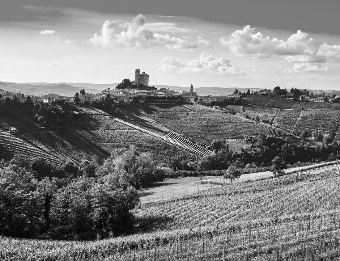 Noah Jigsaw Puzzle Houses on the shore of Burton Lake, in Georgia in black white 1000 pieces