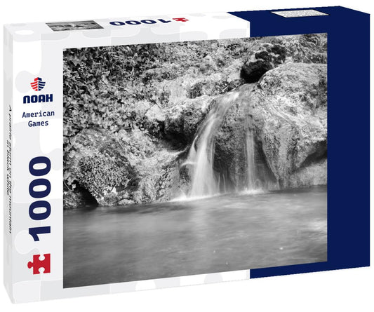 Noah Jigsaw Puzzle A prairie storm on the mountain in black white 1000 pieces