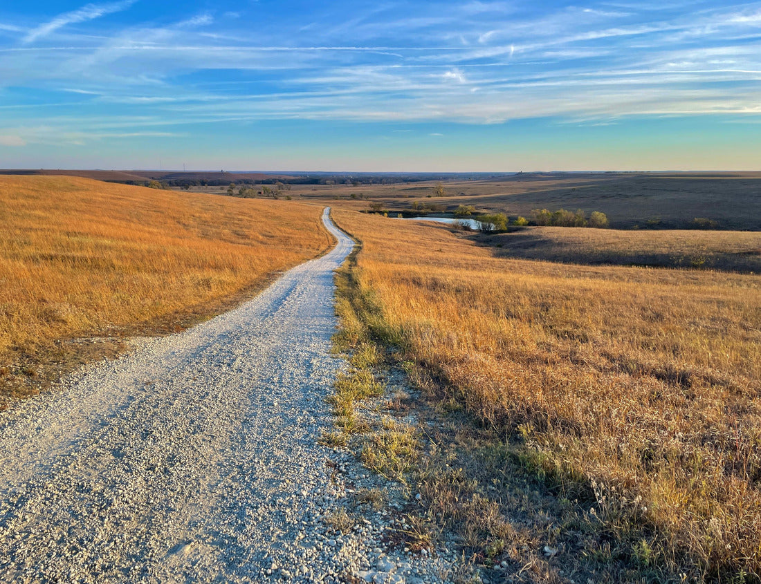 Noah Jigsaw Puzzle A gravel path leads to the horizon as the sun sets over the Tallgrass Prairie National Preserve in Kansas, USA 1000 pieces