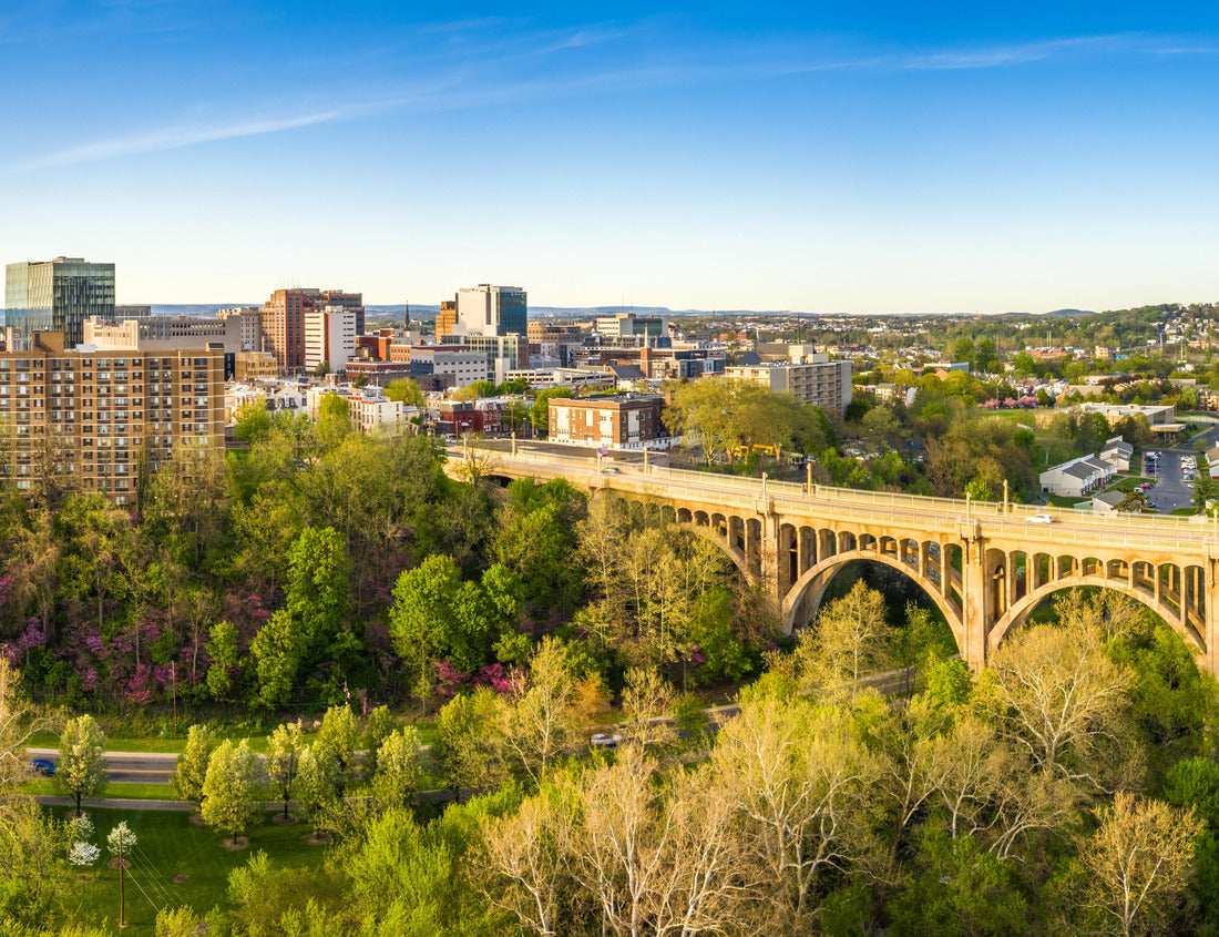 Noah Jigsaw Puzzle Allentown, Pennsylvania skyline and Albertus L. Meyers Bridge (aka Eighth Street Bridge) in the sunny afternoon 1000 pieces