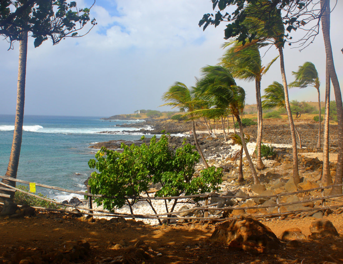 Noah Jigsaw Puzzle The windswept beachside ruins of Kaloko-Honokohau National Historical Park as rain moves in and a subtle rainbow appears 1000 pieces