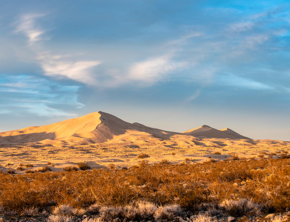Noah Jigsaw Puzzle Late afternoon light throughs shadows across tall sand dunes in a scenic natural desert landscape in Mojave National Preserve 1000 pieces
