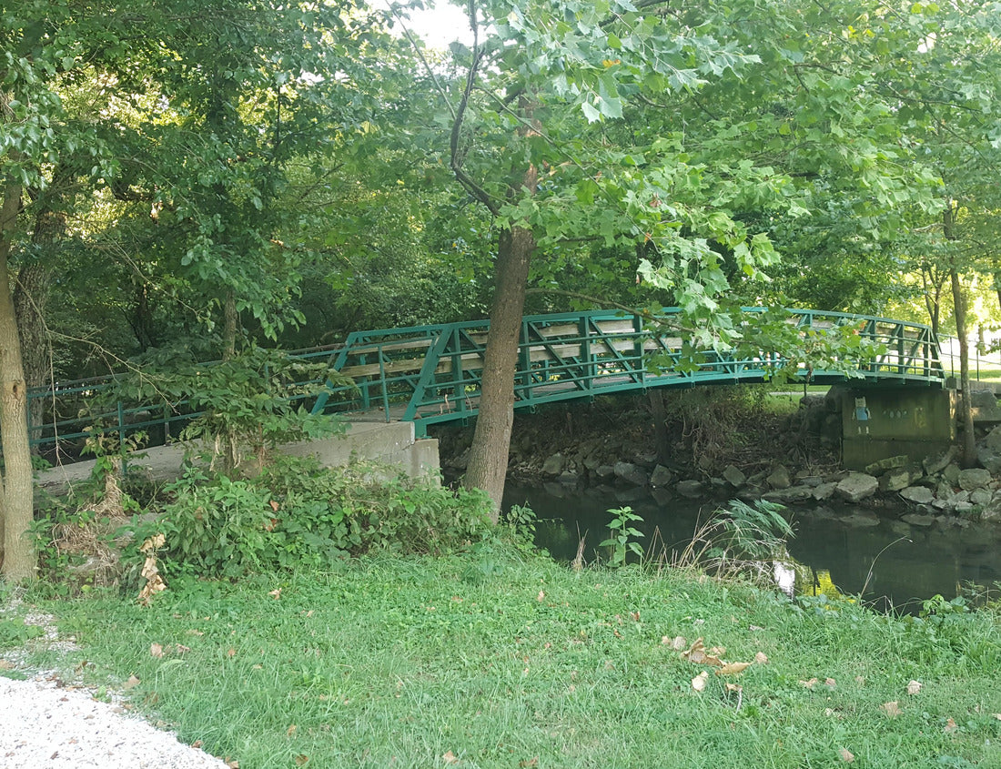 Noah Jigsaw Puzzle A small foot bridge in Morse Park in Neosho, Missouri, MO, United States, US, USA, gives access to both sides of Hickory Creek 1000 pieces