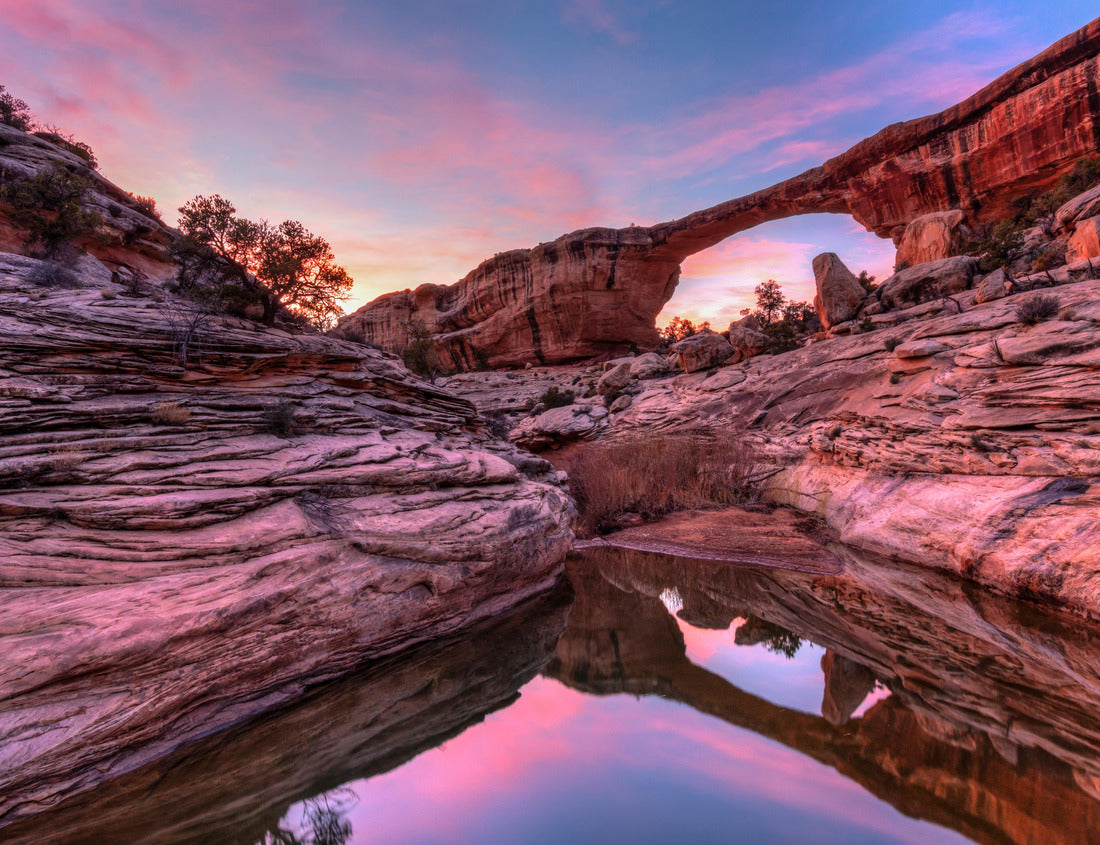 Noah Jigsaw Puzzle Owachomo Bridge and a colorful sky reflected in a pool gathered in Armstrong Canyon in Natural Bridges National Monument, Utah 1000 pieces
