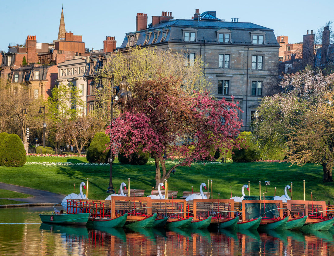 Noah Jigsaw Puzzle Colorful spring scene of trees blossoming with swan boats in the foreground at the Boston Public Garden in Boston, Massachusetts 1000 pieces