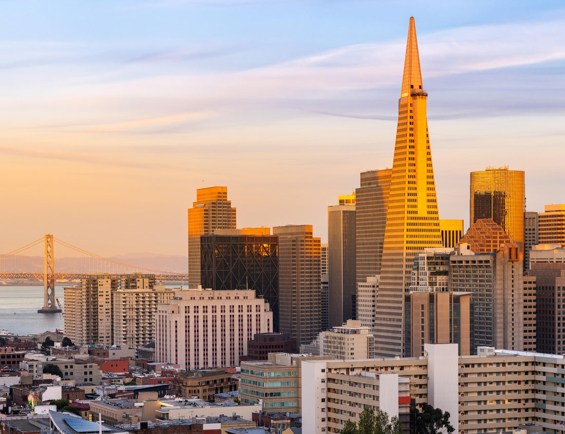 Noah Jigsaw Puzzle Panoramic Sunset at San Francisco downtown cityscape skylines ans skyscrapers building in California, USA. San Francisco United States 1000 pieces