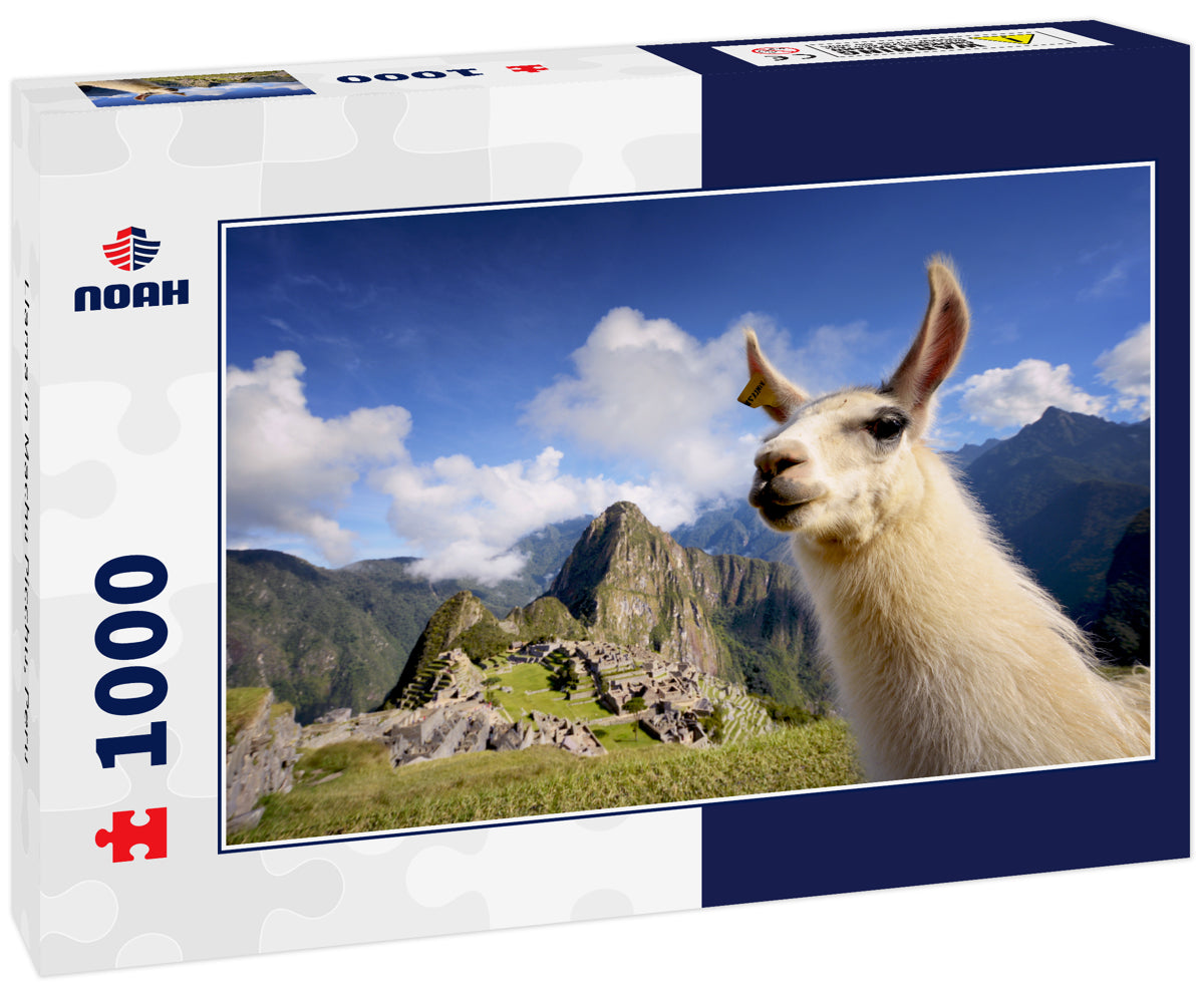 Llama in Machu Picchu, Peru