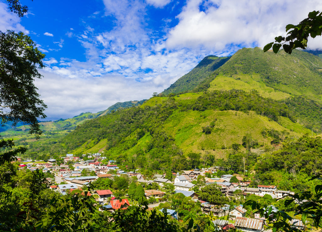 Landscape of the Peruvian Pozuzo jungle of Oxapampa province in Pasco department