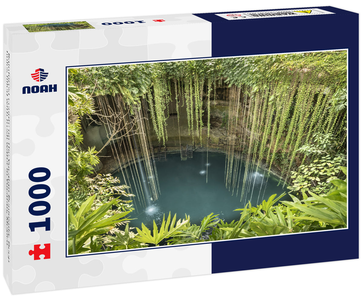 Rainforest cenote on the Yucatan Peninsula. Deep holes filled with fresh water in Yucatan, Mexico