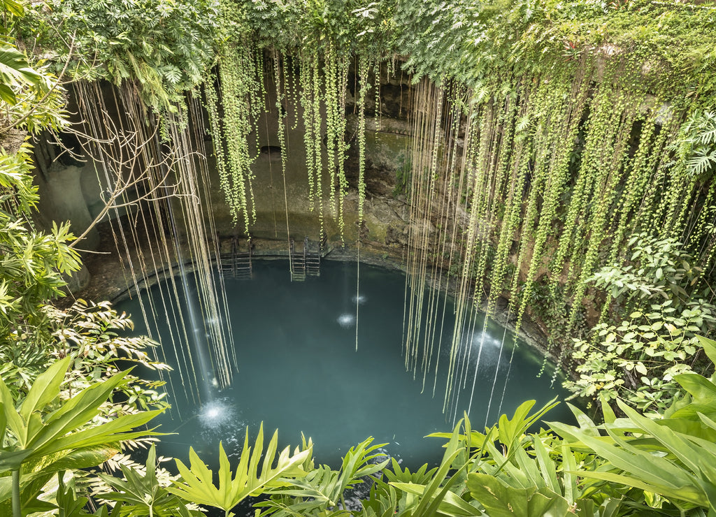 Rainforest cenote on the Yucatan Peninsula. Deep holes filled with fresh water in Yucatan, Mexico