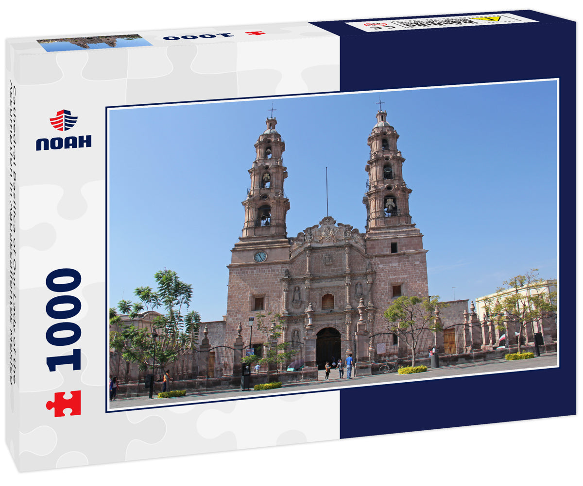 Cathedral Basilica of Our Lady of the Assumption in Aguascalientes Mexico