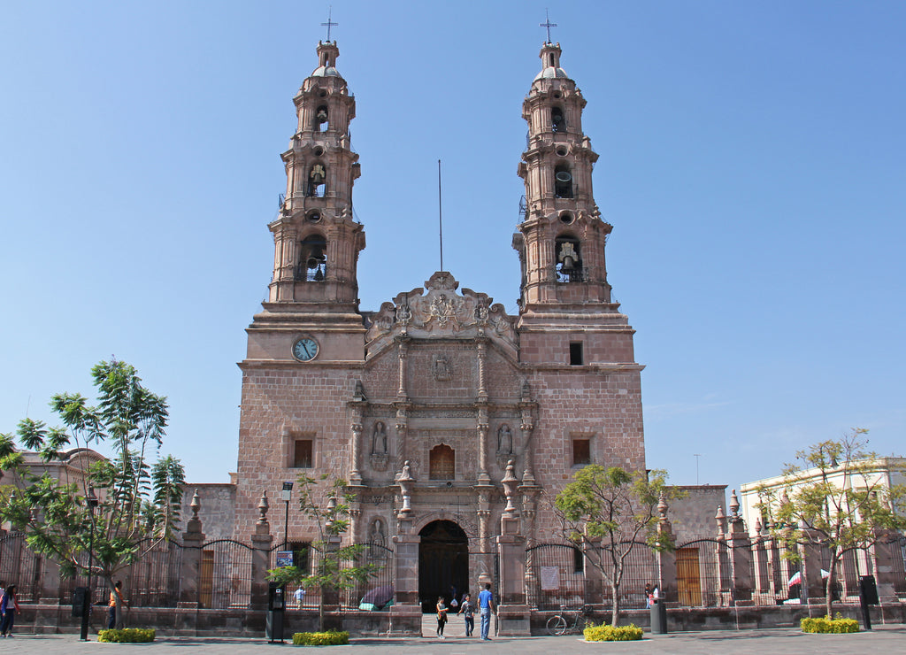 Cathedral Basilica of Our Lady of the Assumption in Aguascalientes Mexico