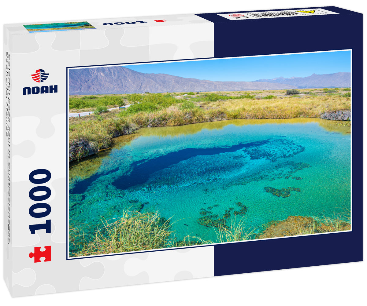Colorful poza azul in Cuatrocienegas, Coahuila, Mexico