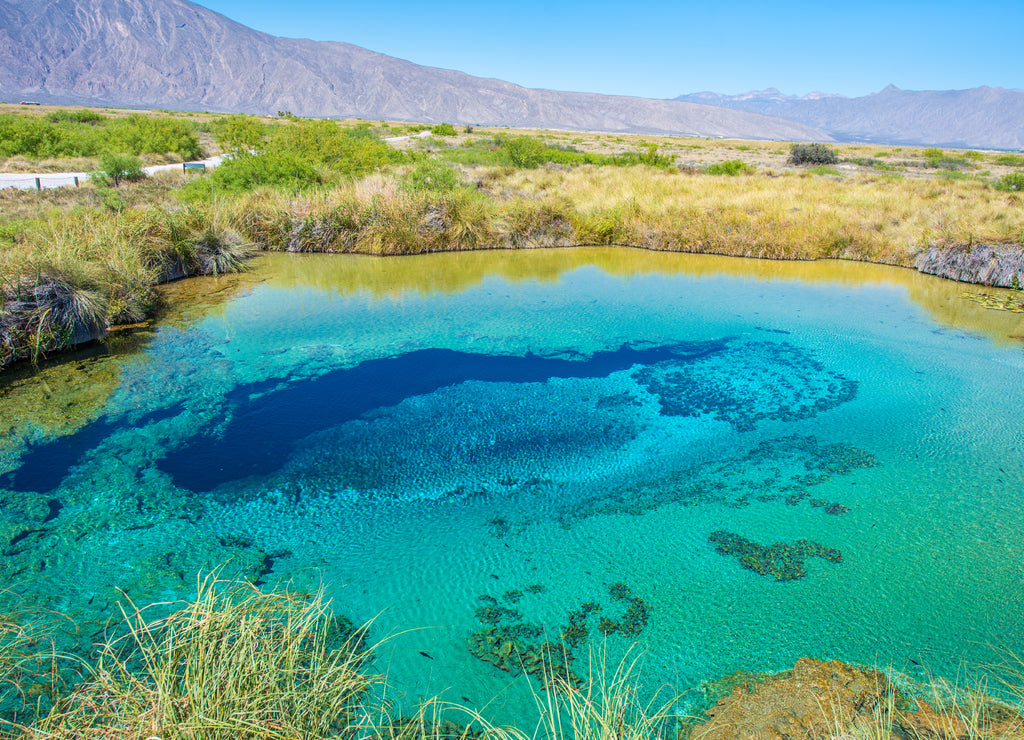 Colorful poza azul in Cuatrocienegas, Coahuila, Mexico