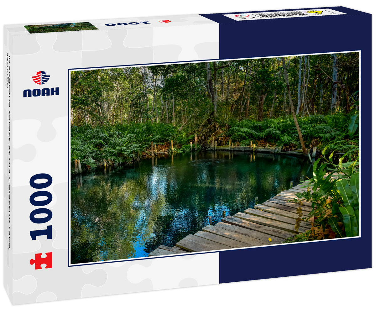 Mangrove forest at Ria Celestun lake, Mexico