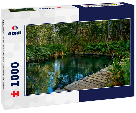 Mangrove forest at Ria Celestun lake, Mexico