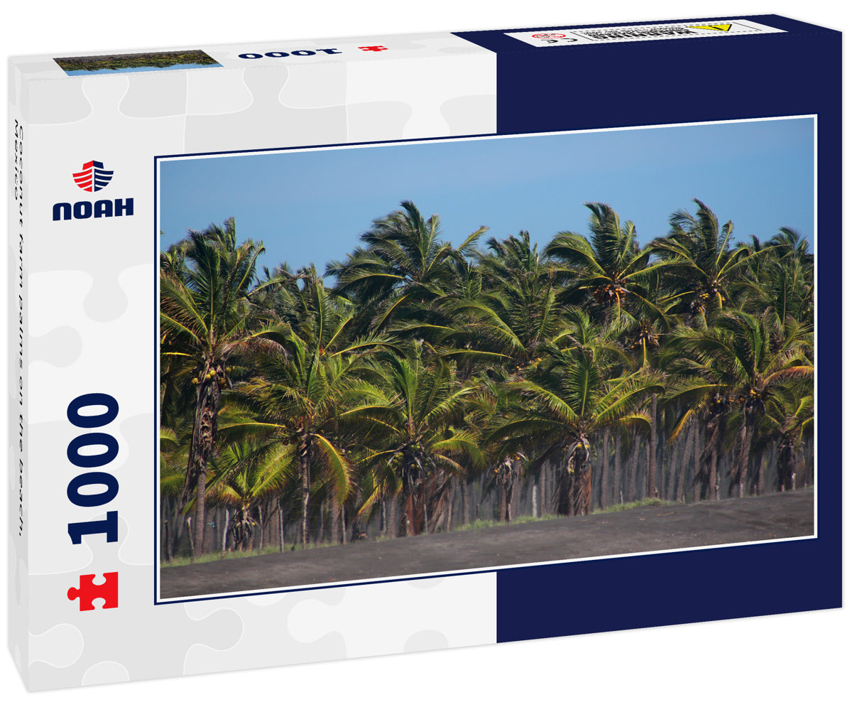 Coconut farm palms on the beach, Mexico