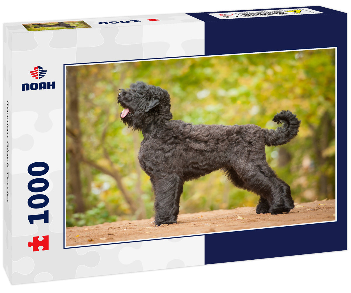 Russian Black Terrier
