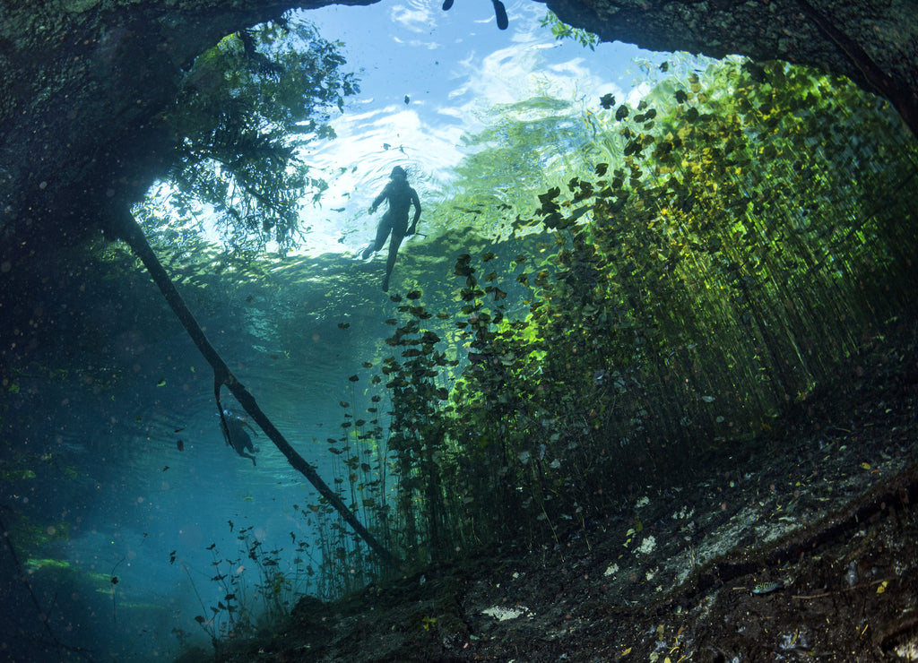 Cave diving in Mexican cenotes, Mexico