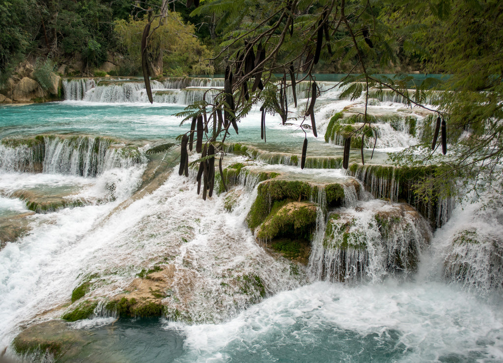 Series of turquoise waterfalls in the jungle of El Meco in Mexico in the Huasteca Potosina in San Luis Potosi.