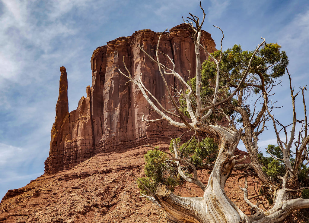 Monument Valley's Mitten Butte Utah