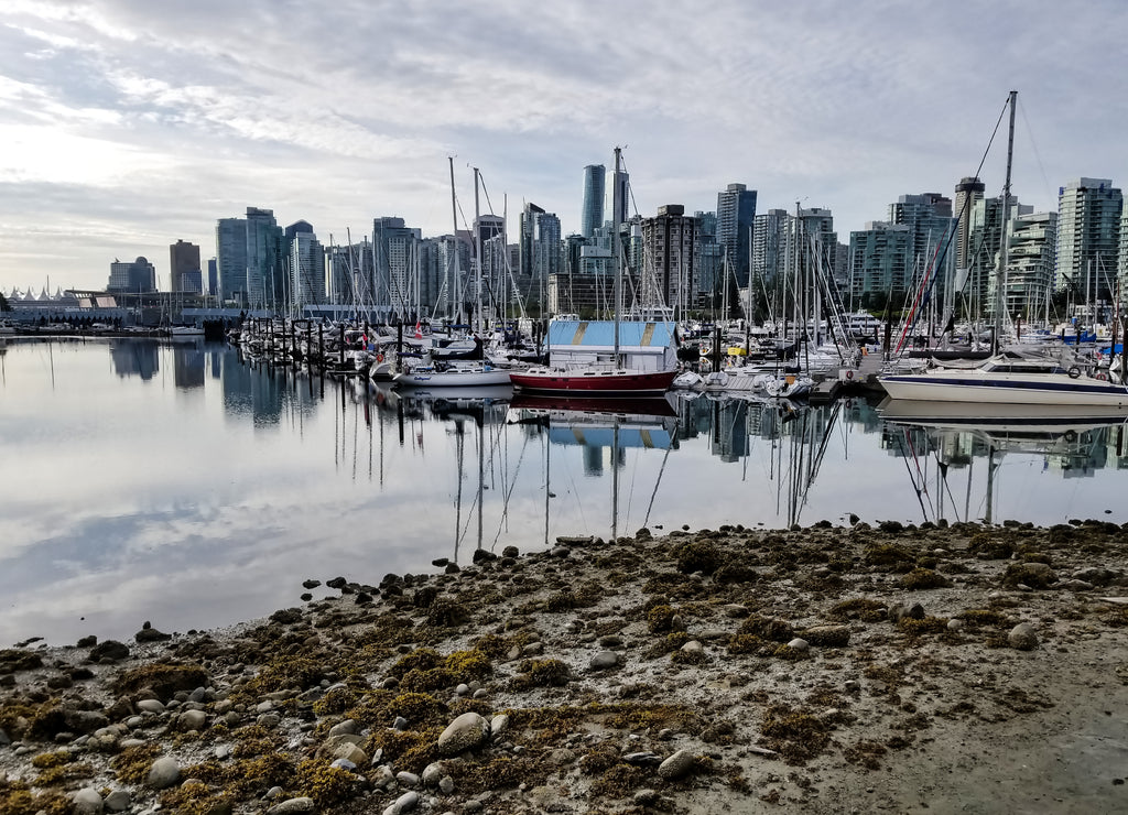 Sailors Cove Marina, Esquimalt , Canada