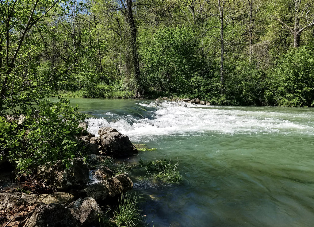 Bennett Springs State Park Missouri Springtime