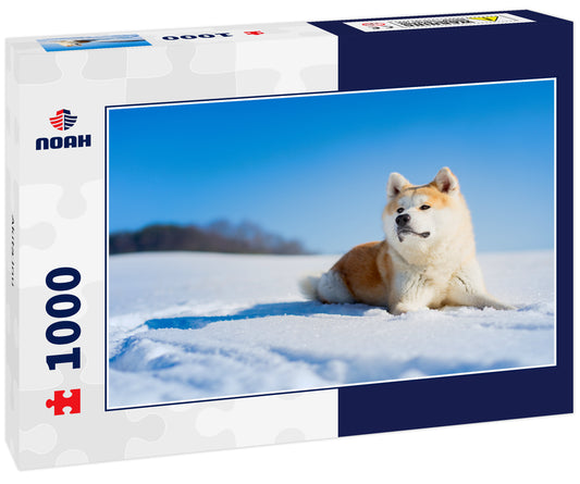Akita Inu