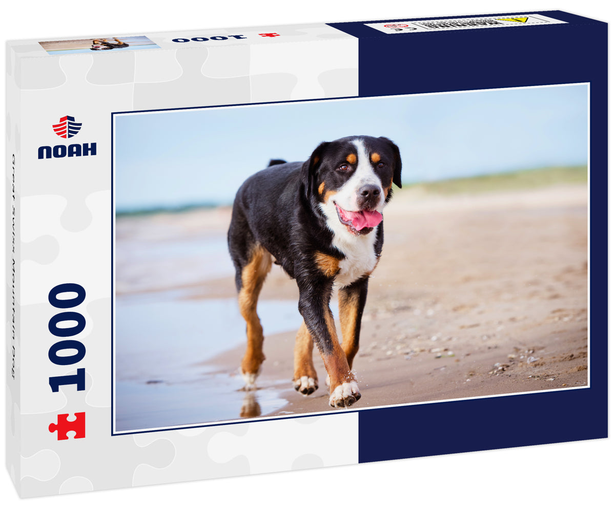 Great Swiss Mountain Dog