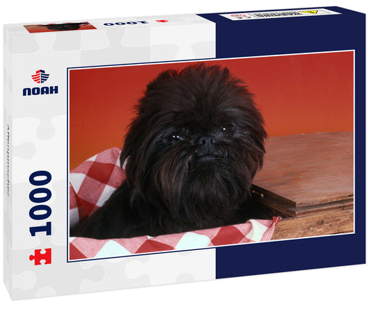 Affenpinscher