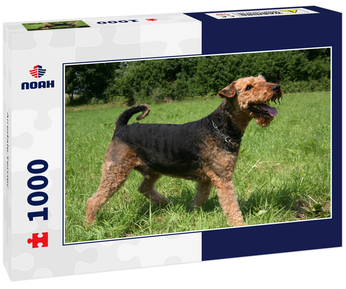 Airedale Terrier