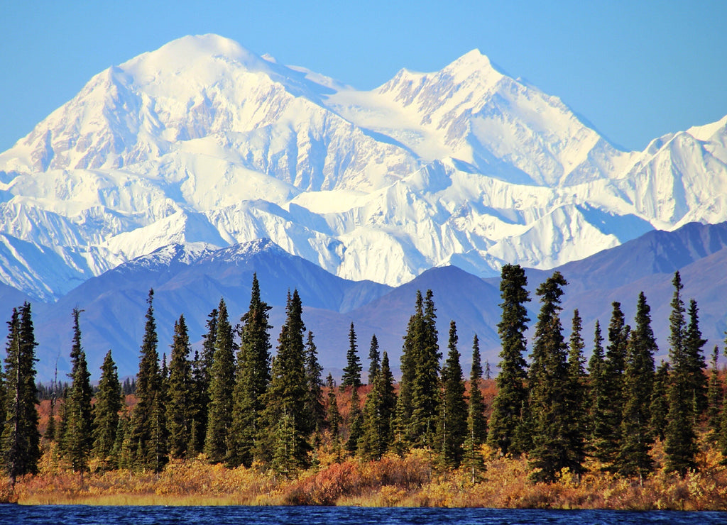 Denali National Park Alaska