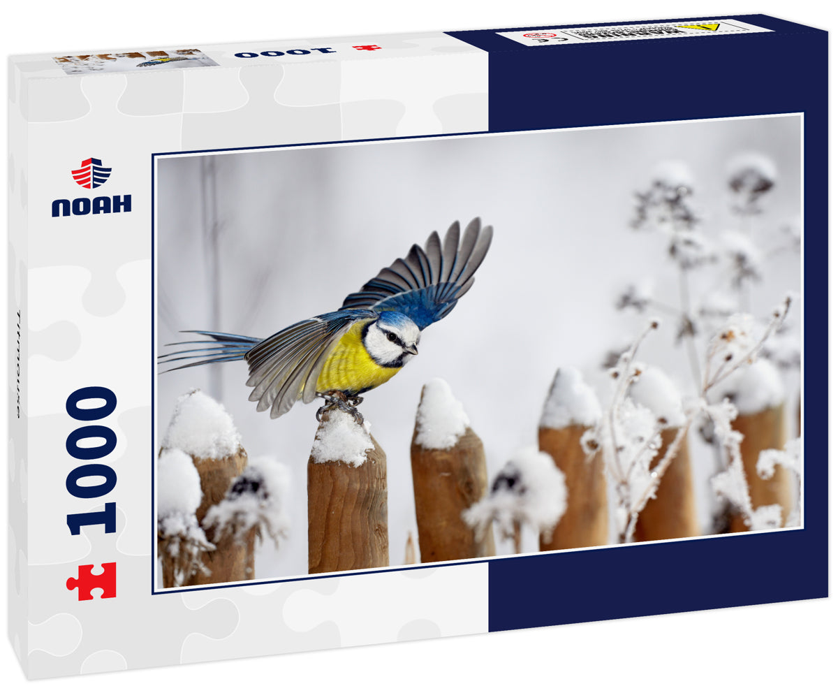 Titmouse