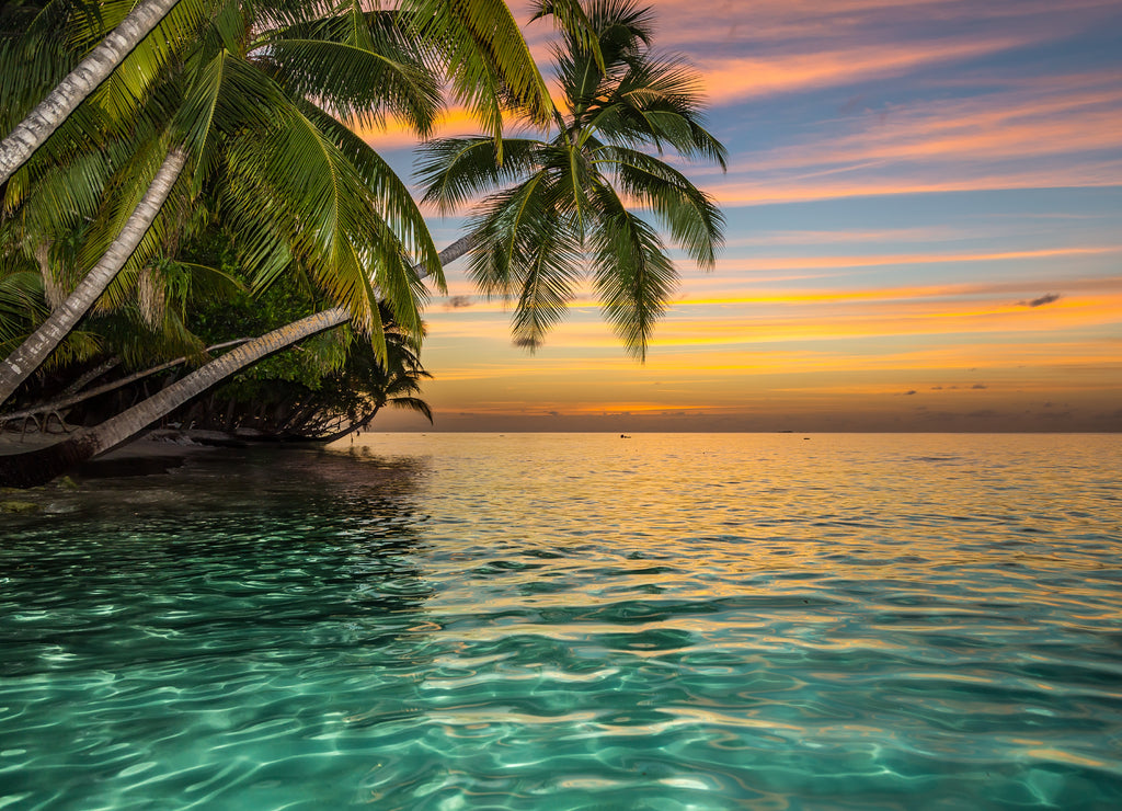Tropical beach