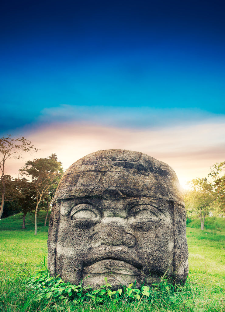 Olmec colossal head in the city of La Venta, Tabasco, Mexico