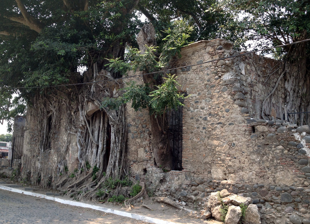 La Antigua, Mexico