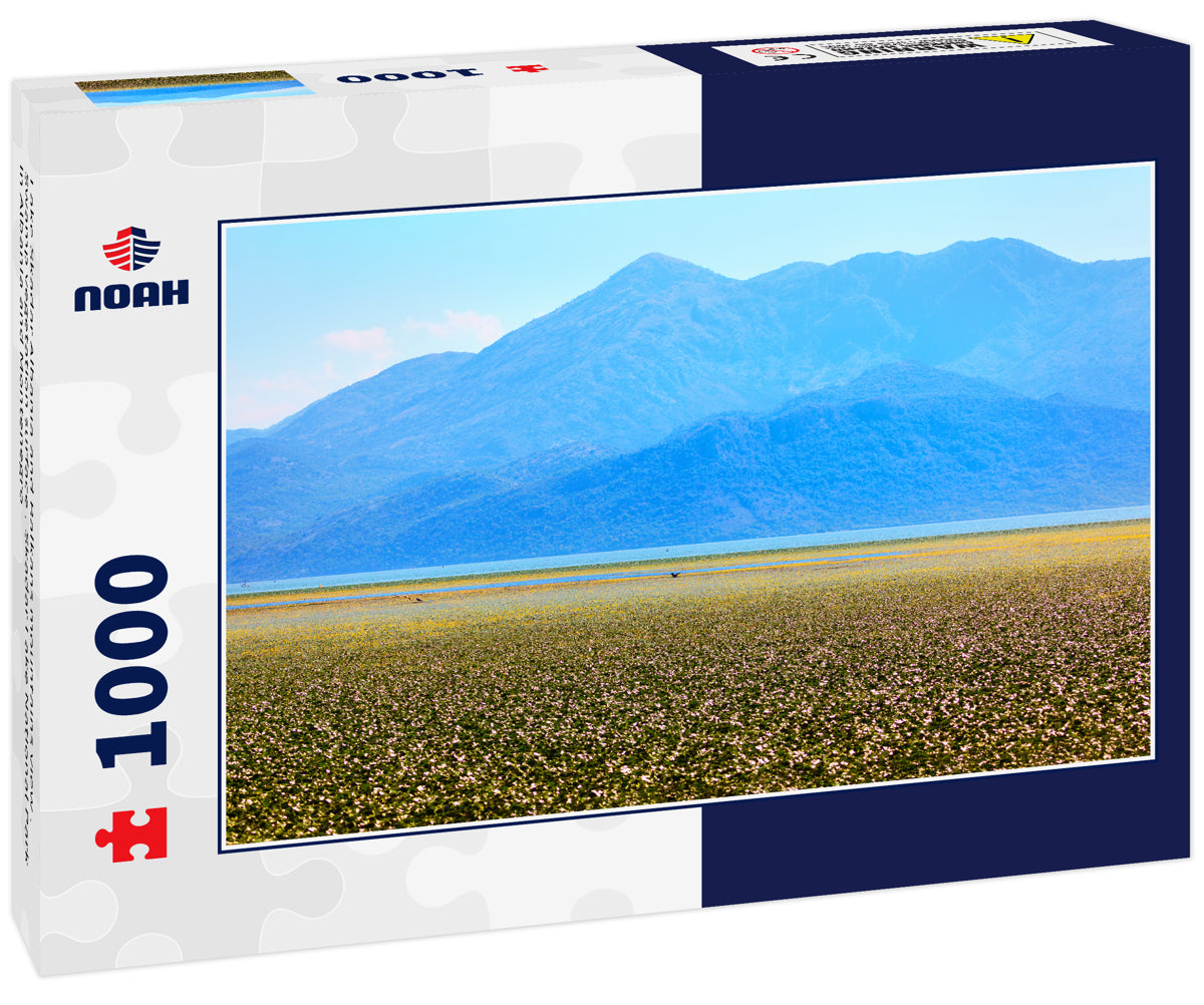 Lake Skadar Albania and Balkans mountains view . Swamp vegetation surface . Skadar Lake National Park in Albania and Montenegro