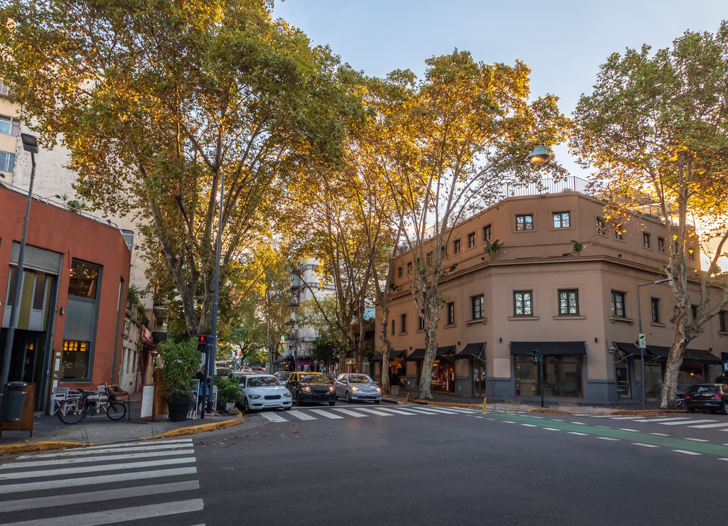 Buildings at Palermo Soho - Buenos Aires, Argentina