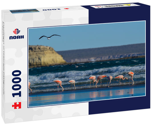 Flamingos in seascape,Patagonia, Argentina